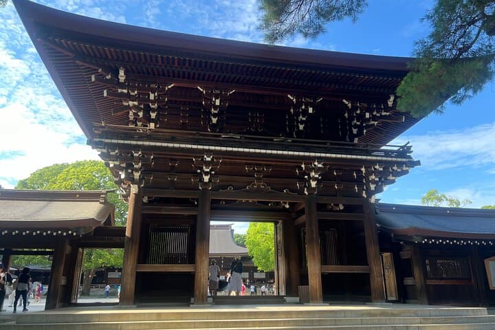 Tokyo: Meiji Shrine and Shinto Culture Walking Tour — photo 14