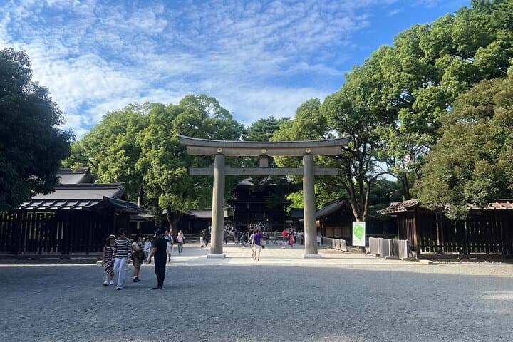Tokyo: Meiji Shrine and Shinto Culture Walking Tour — photo 13