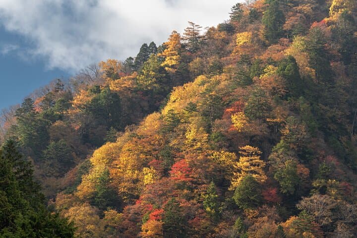 Private Day Tour to Mt Fuji - Onsen Bliss & Nature - From Tokyo — photo 17