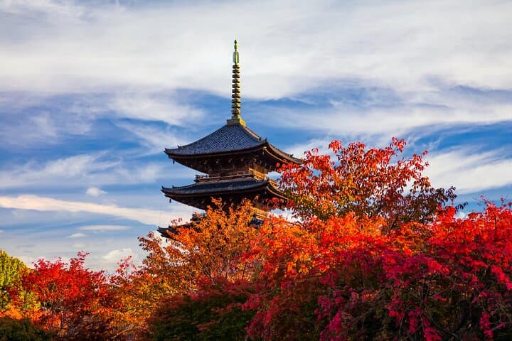 Private Day Tour to Mt Fuji - Onsen Bliss & Nature - From Tokyo — photo 3