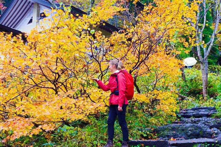 Togakushi: A Serene Walk Through Sacred Forests & Soba Traditions — photo 13