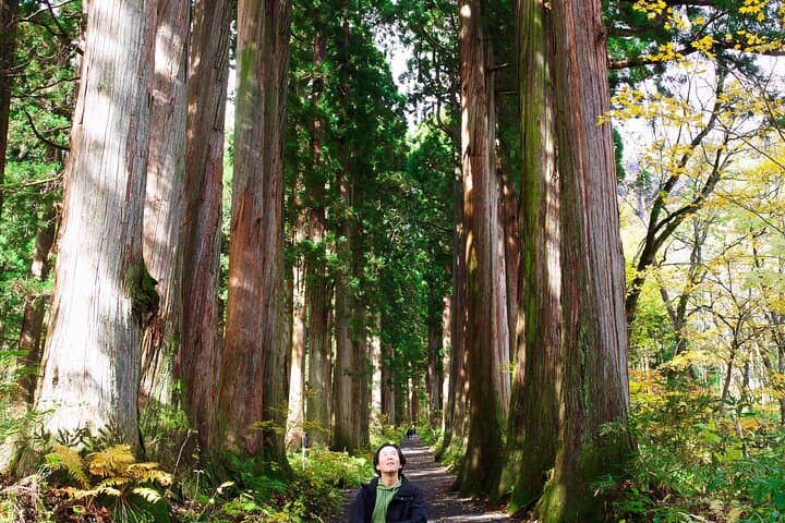 Togakushi: A Serene Walk Through Sacred Forests & Soba Traditions — photo 10