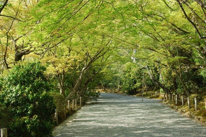 Kyoto: Kinkaku ji Temple Historical Guided Tour — photo 5