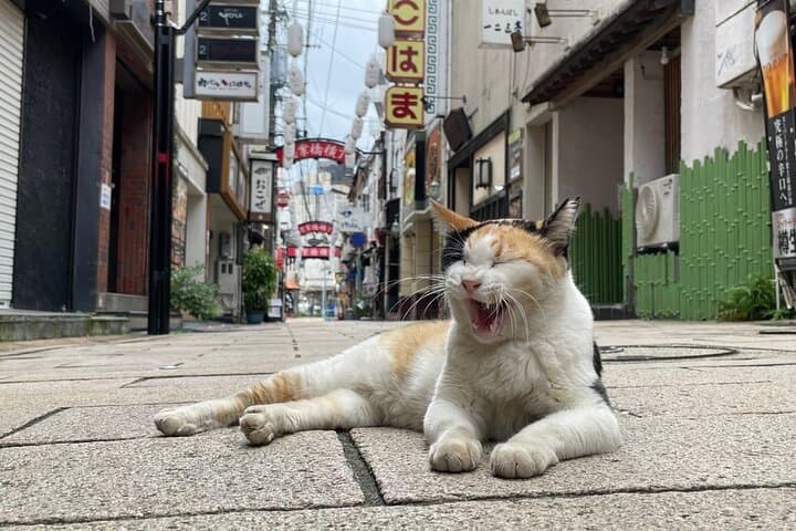 Nagasaki Full-Day Private Tour with a Local (Public Transport) — photo 14