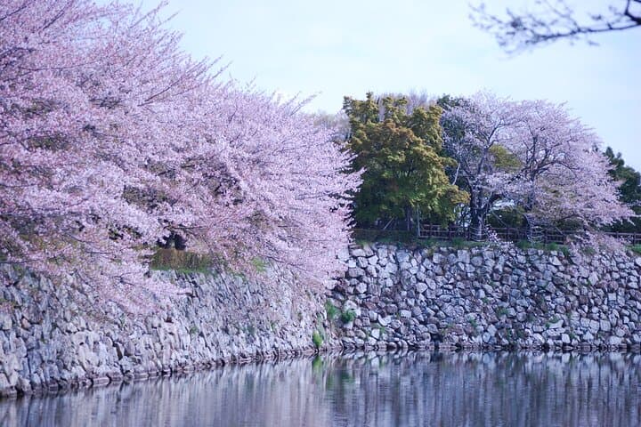 Explore Himeji Castle a Guided Walking Tour — photo 8