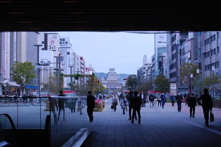 Explore Himeji Castle a Guided Walking Tour — photo 9