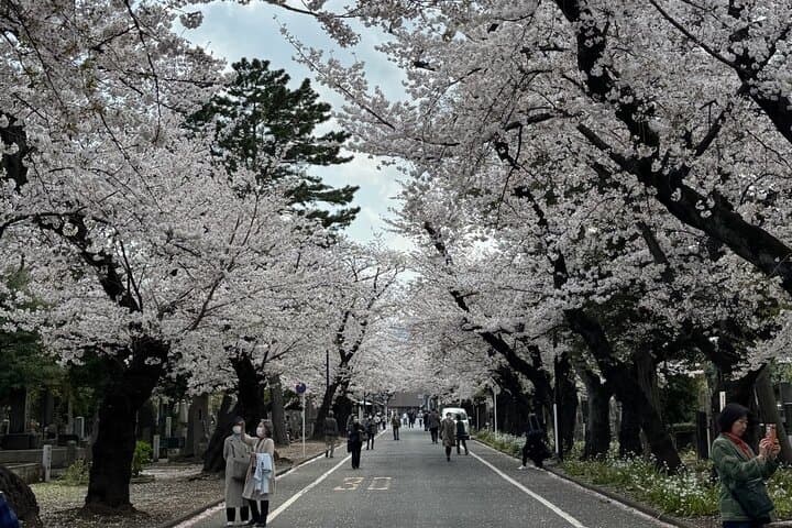 Best of Tokyo in a Day – Private Tour with Custom Options — photo 8