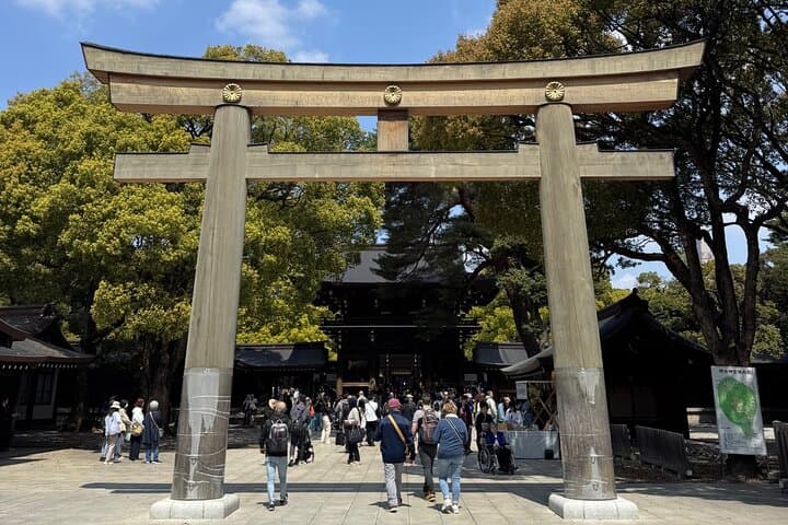 Best of Tokyo in a Day – Private Tour with Custom Options — photo 10