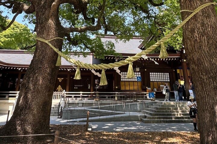 Best of Tokyo in a Day – Private Tour with Custom Options — photo 13