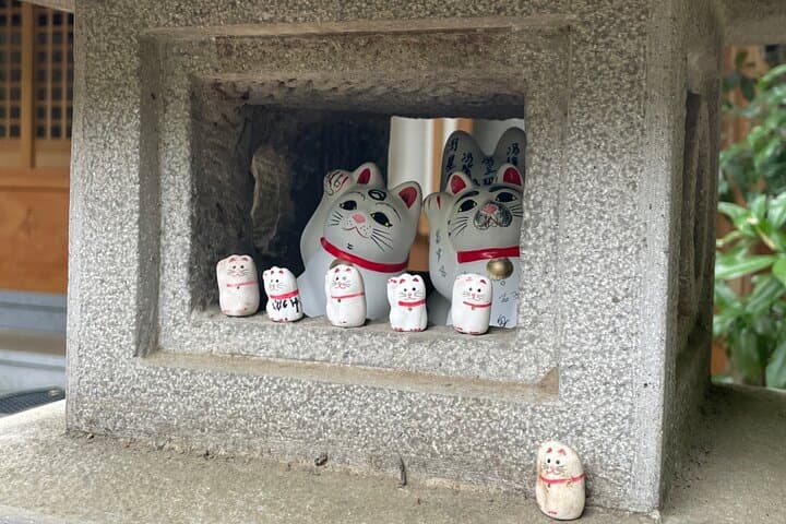 Best of Tokyo in a Day – Private Tour with Custom Options — photo 15