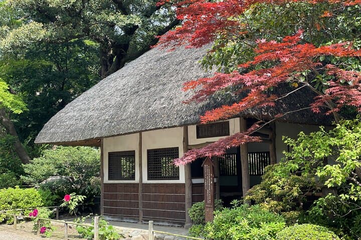 Tokyo Historian and Photographer Private Tour — photo 3