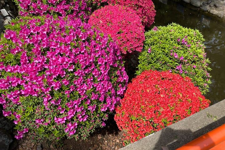 Tokyo Historian and Photographer Private Tour — photo 4
