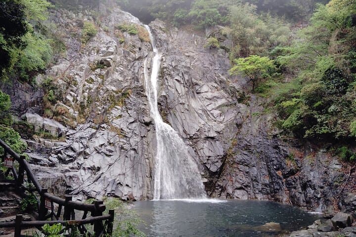 Kobe Nunobiki Falls Morning Guided Hike — photo 5