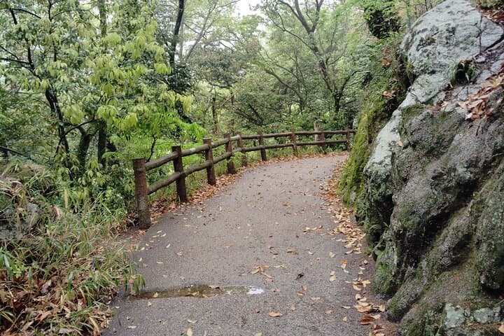 Kobe Nunobiki Falls Morning Guided Hike — photo 4