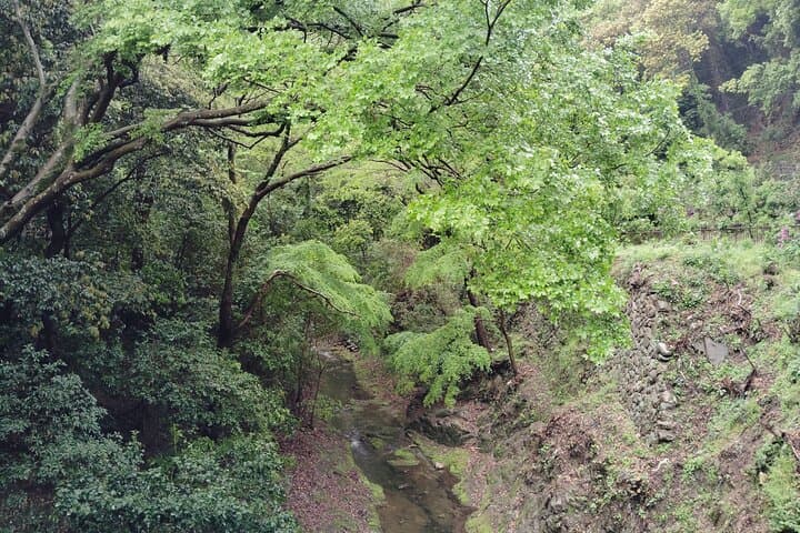 Kobe Nunobiki Falls Morning Guided Hike — photo 6