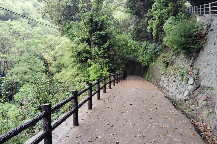 Kobe Nunobiki Falls Morning Guided Hike — photo 7