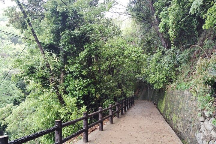 Kobe Nunobiki Falls Morning Guided Hike — photo 8