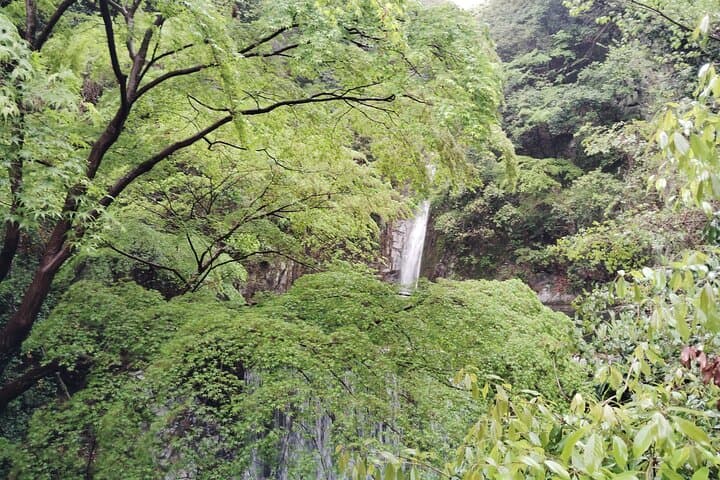 Kobe Nunobiki Falls Morning Guided Hike — photo 9