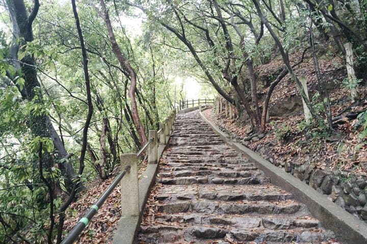 Kobe Nunobiki Falls Morning Guided Hike — photo 3
