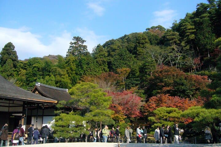 Discover Kyoto by Bike: Authentic Half Day Tour — photo 13