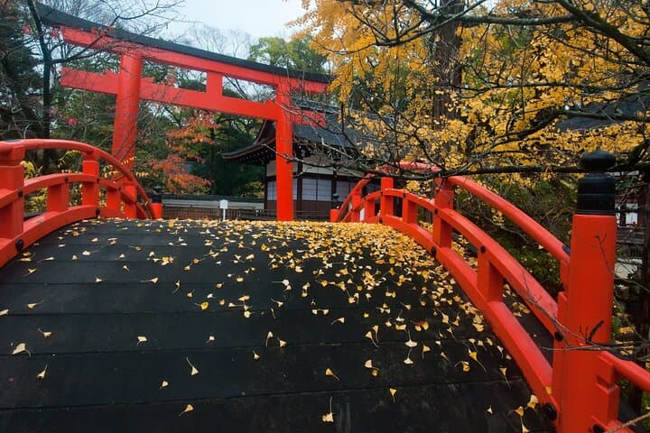 Discover Kyoto by Bike: Authentic Half Day Tour — photo 4