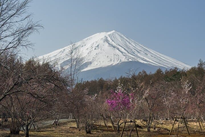 Inaka Excursions | Escape from Tokyo! — photo 14