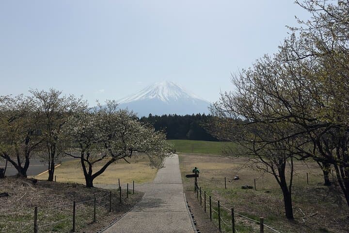 Inaka Excursions | Escape from Tokyo! — photo 16