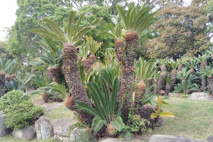Kobe: Sorakuen Garden Guided Walking Tour 1h — photo 5
