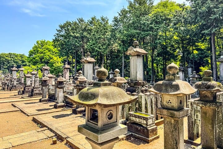 Lucky Cats Temple & Old Tokyo Yanaka 1/2-Day Walking Private Tour — photo 2