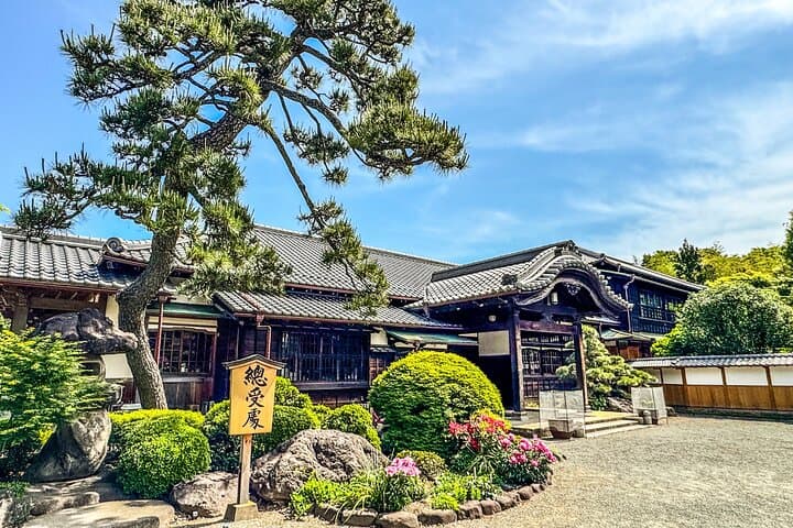 Lucky Cats Temple & Old Tokyo Yanaka 1/2-Day Walking Private Tour — photo 4