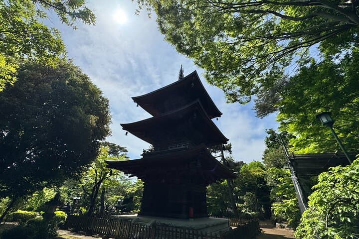 Lucky Cats Temple & Old Tokyo Yanaka 1/2-Day Walking Private Tour — photo 7