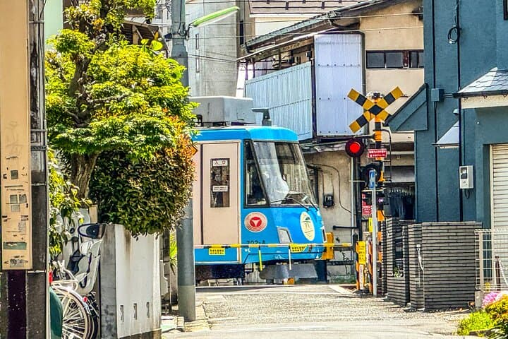 Lucky Cats Temple & Old Tokyo Yanaka 1/2-Day Walking Private Tour — photo 9