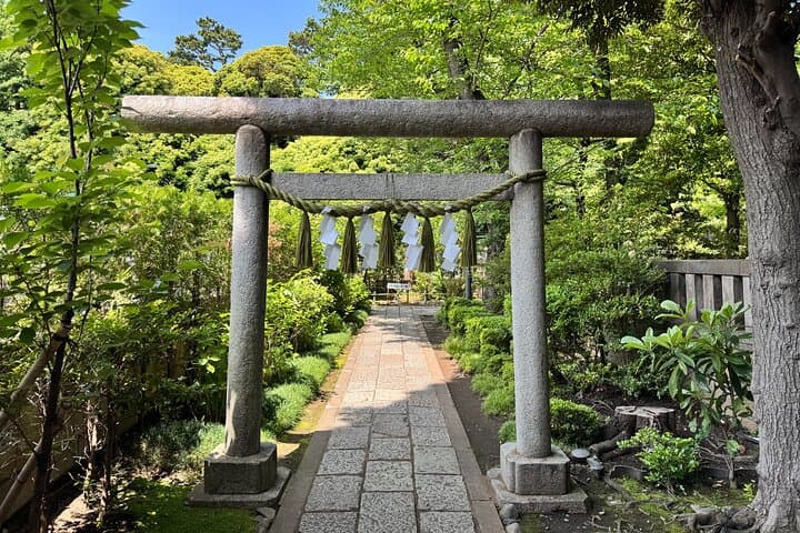Lucky Cats Temple & Old Tokyo Yanaka 1/2-Day Walking Private Tour — photo 11