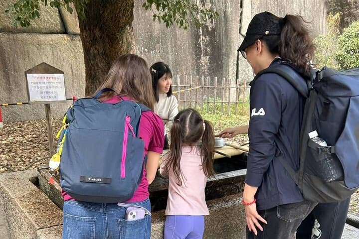 Ultimate Osaka Experience Full Day Personalized Private Tour — photo 7