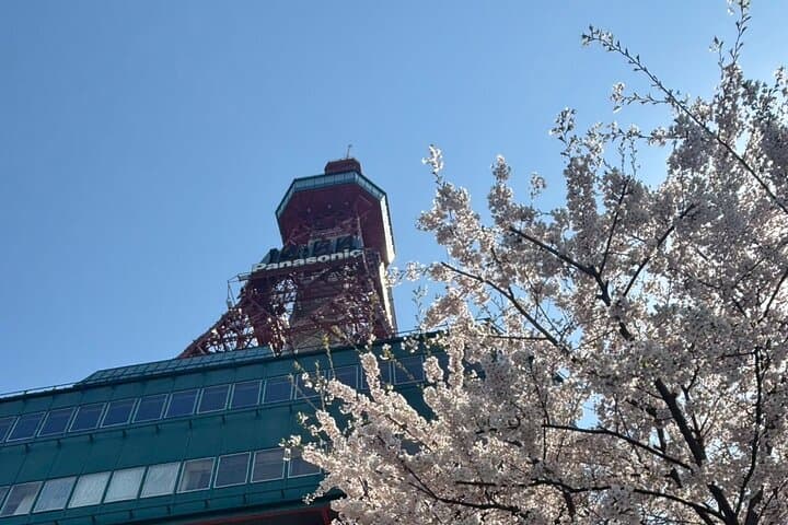 Sapporo Highlights: Golden Route Morning Walking Tour — photo 8