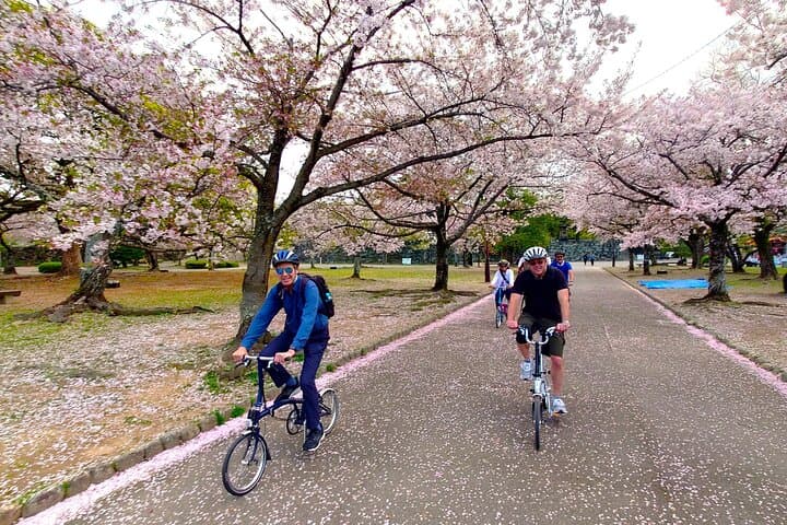 Tokushima & Mt. Bizan BROMPTON Slow Cycling Tour — photo 11