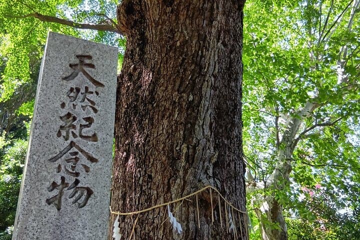 Private Day Tour of Tokyo Shrine for Oharai Yakubarai — photo 3