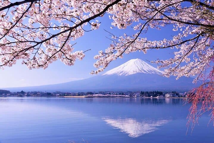1 Day Trip to Mt. Fuji and in Five Lakes around the area — photo 1