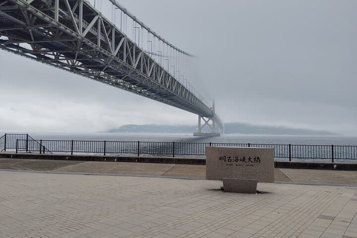 Kobe: Maiko Scenic and Cultural Highlights Guided Tour — photo 8