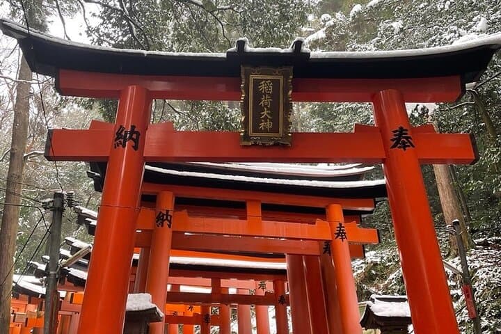 Kyoto: Early Morning Guided Tour to Fushimi Inari — photo 6