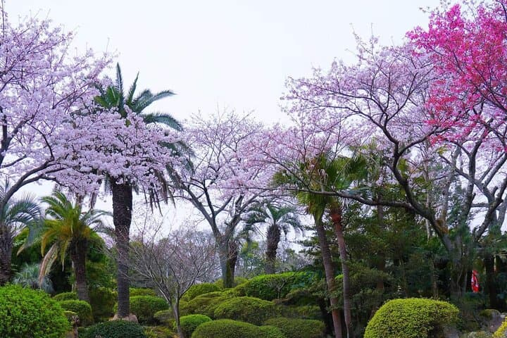 Yufuin, Beppu Hell Tour with Lake and Temple from Fukuoka — photo 12