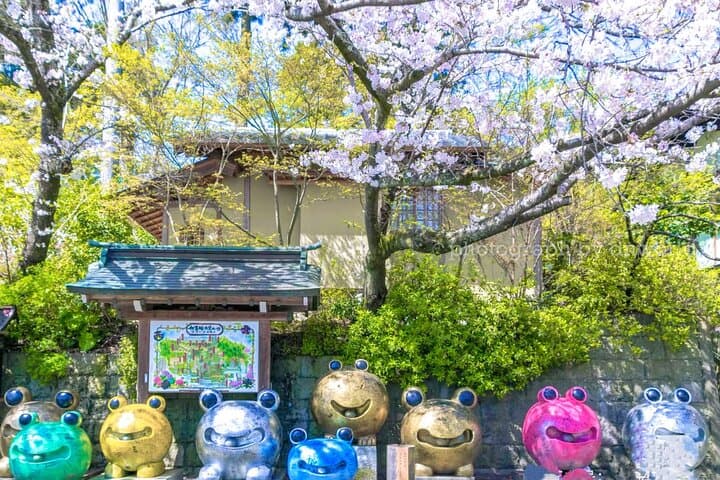 Yufuin, Beppu Hell Tour with Lake and Temple from Fukuoka — photo 13