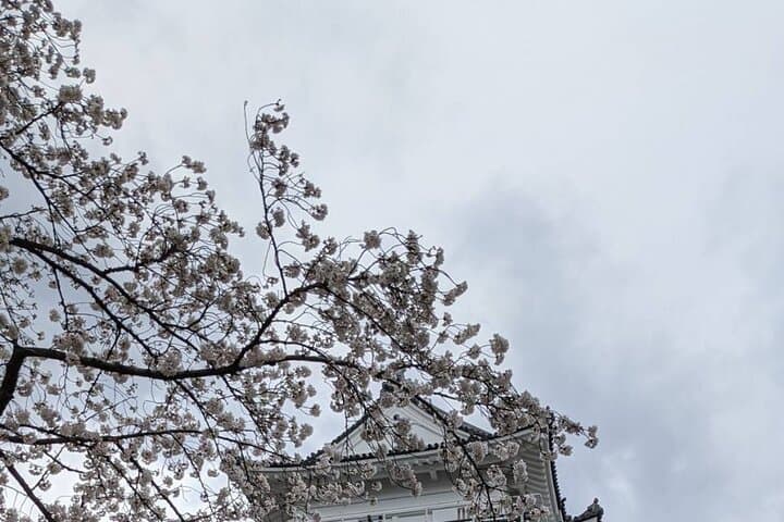 Kyoto Essentials Half Day Walking Tour with Cultural Expert — photo 5
