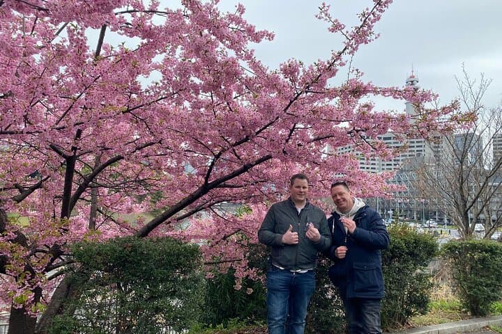 Kyoto Essentials Half Day Walking Tour with Cultural Expert — photo 6