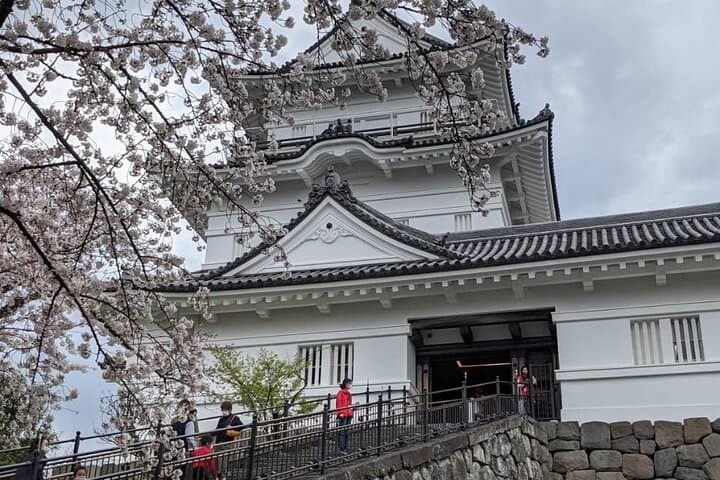Kyoto Essentials Half Day Walking Tour with Cultural Expert — photo 13