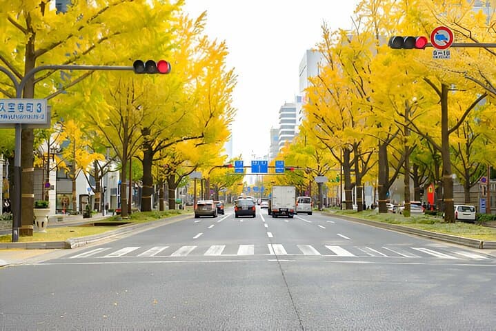 Tokyo To Osaka or Kyoto Private Luxury Car Transfer — photo 7