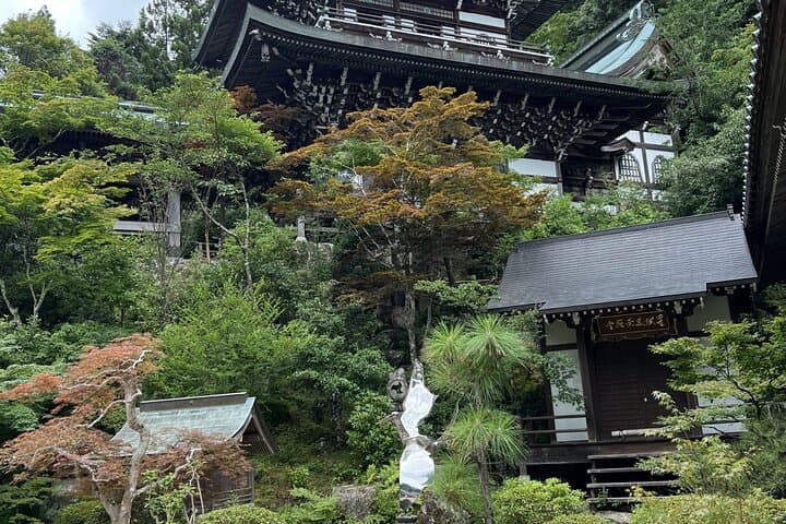 Half Day in Sacred Island, Miyajima — photo 7