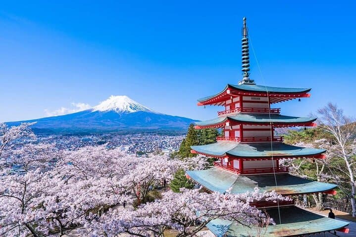 1 Day Trip to Mt. Fuji and in Five Lakes around the area — photo 2