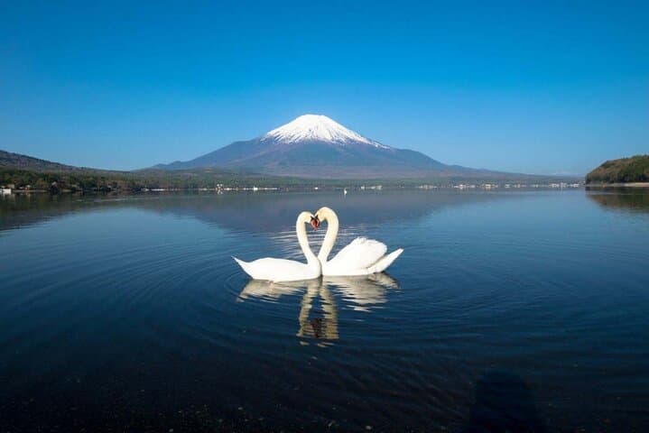 1 Day Trip to Mt. Fuji and in Five Lakes around the area — photo 4