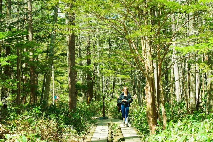 Kamikochi & Matsumoto Castle: A Perfect Nature & Heritage Day — photo 14
